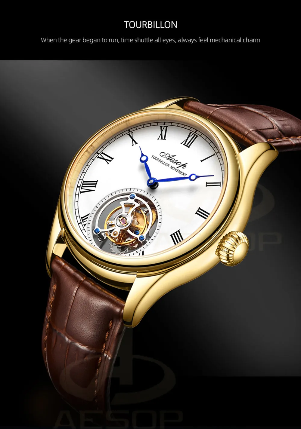 AESOP Roman Tourbillon Sapphire Mirror and Back Cover 7021 watch