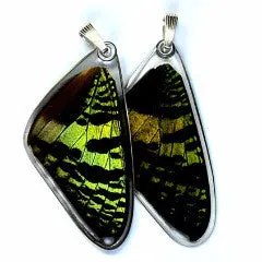 Butterfly wing pendant ONLY, Sunset butterfly, top wing