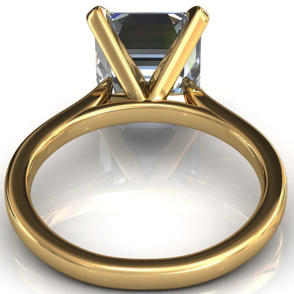 Darci Asscher Moissanite 4 Prong Cathedral Solitaire Engagement Ring
