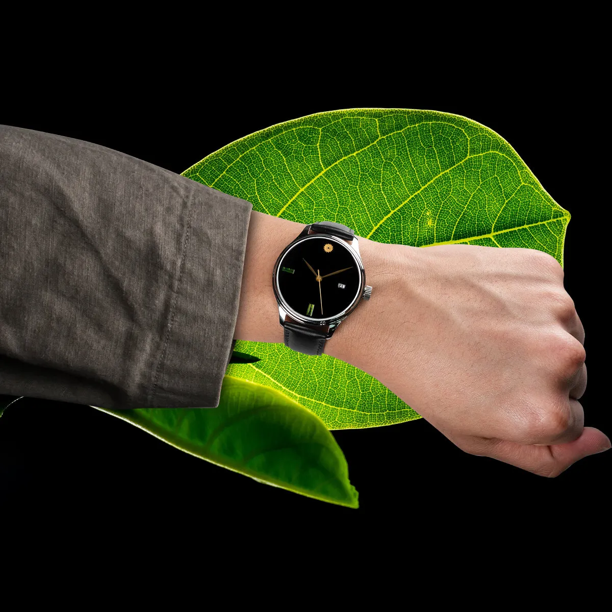 Dream Watch - Tamamushi Wing Maki-e