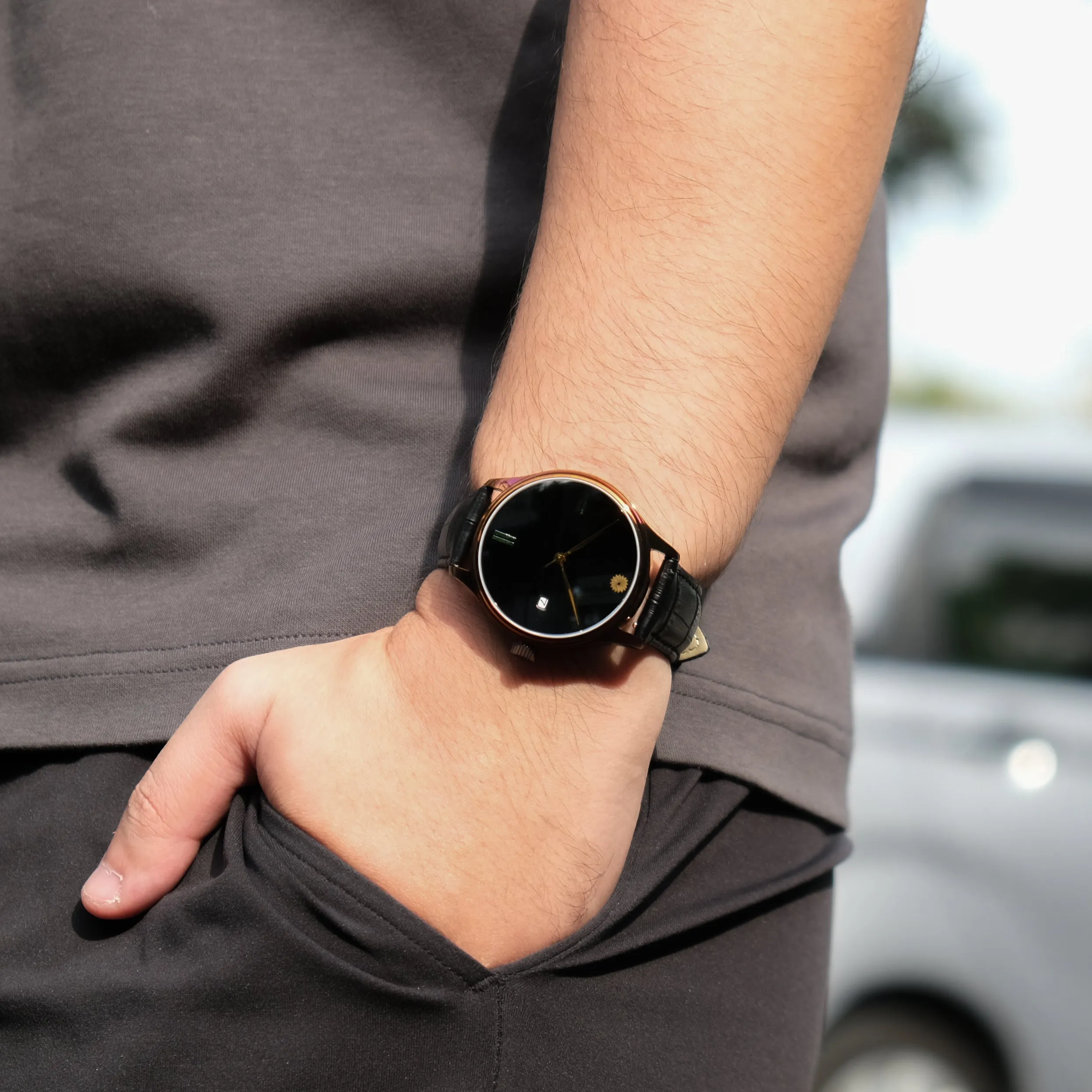 Dream Watch - Tamamushi Wing Maki-e