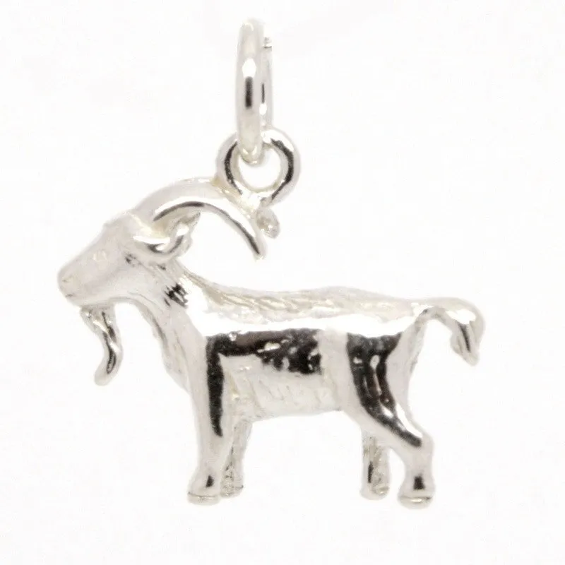 Gold Capricorn Charm