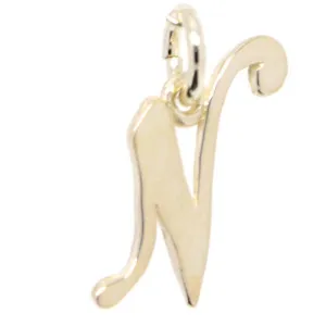 Gold Small Italic N Charm