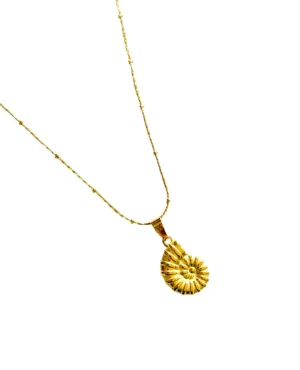 Shell Necklace