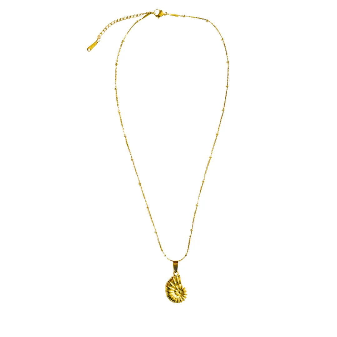 Shell Necklace