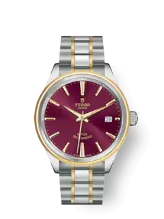 Tudor Style, Stainless Steel and Yellow Gold, 38mm, Ref# M12503-0013