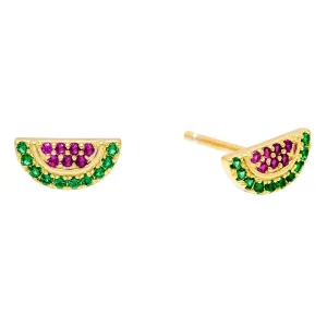 Watermelon Stud Earring